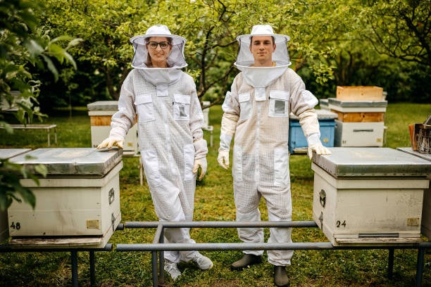 full body bee suit