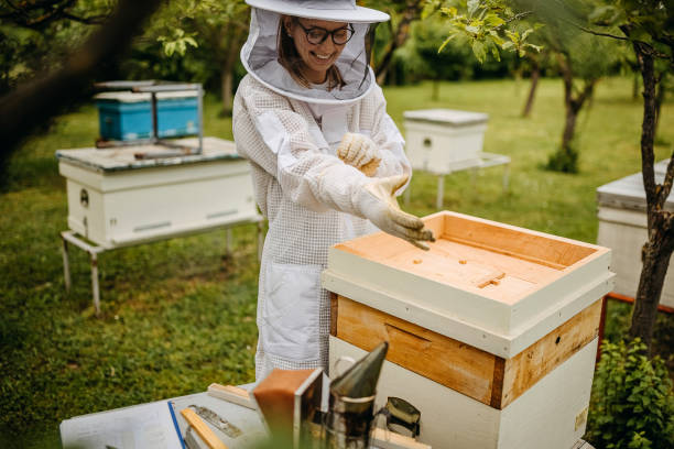 How Should a Beekeeping Suit Fit to Prevent Stings?