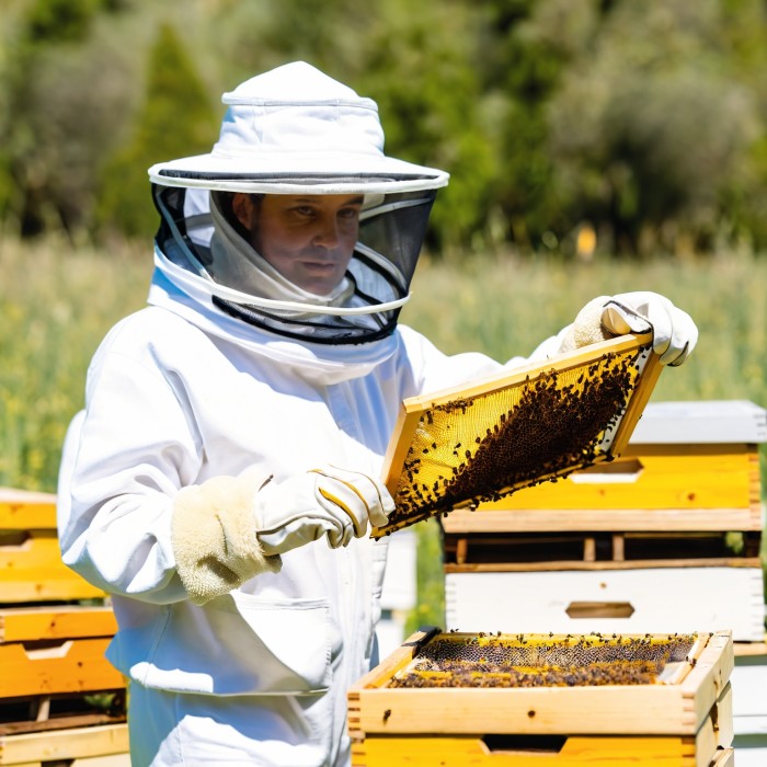 Beekeeping Jacket Cotton