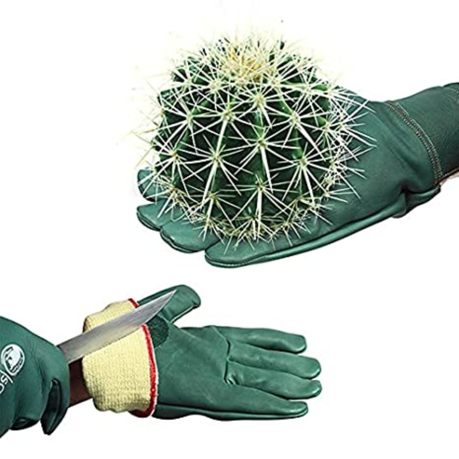 snake gloves for gardening Thorn Proof Gardening Gloves Cut Resistant Kevlar® lining Cut Level-5 – SaftaBee.com