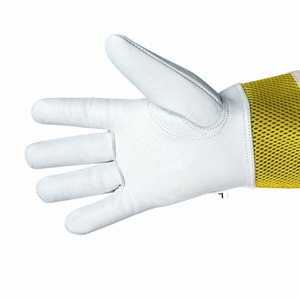 Safta Bee gloves goatskin ventilated 3
