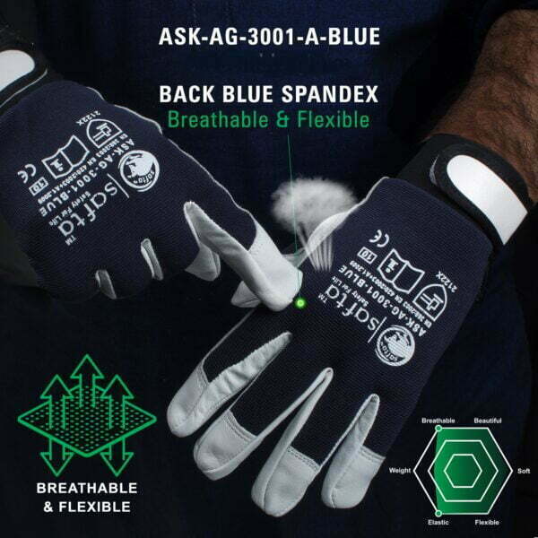 ASK AG 3001 A Blue C