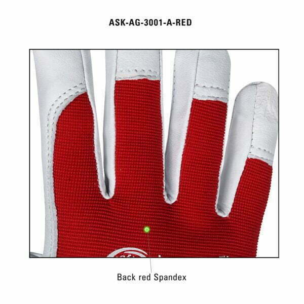 ASK AG 3001 A Red D