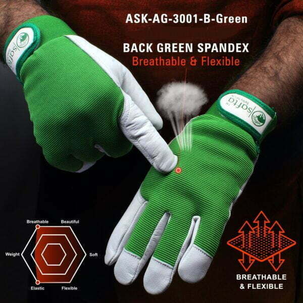 ASK AG 3001 B GREEN C