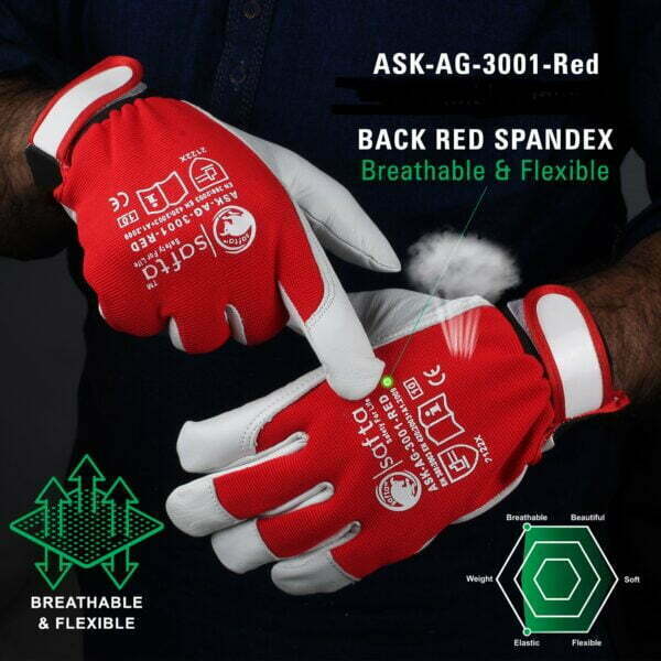 ASK AG 3001 Red C